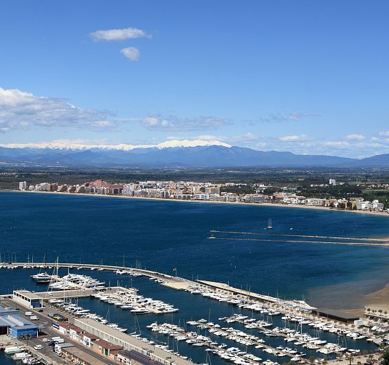 Roses et sa baie