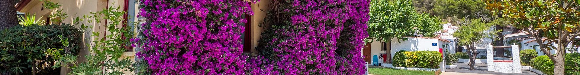 Cala Montjoi Resort & Bungalow's cookie policy