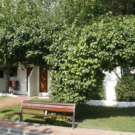 Bungalow 2/3 persones