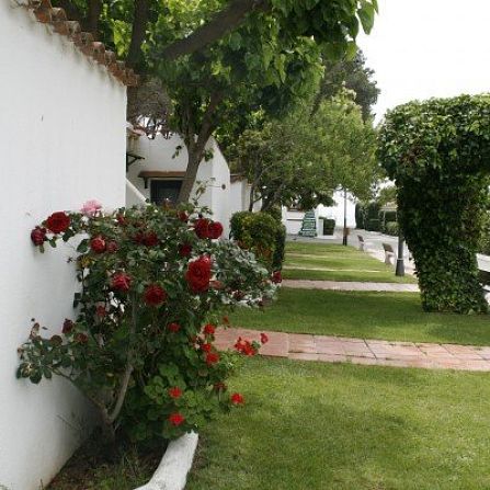 Bungalow 5 persones