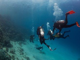 PADI OWD – Nivel 1 FFESSM – CMAS