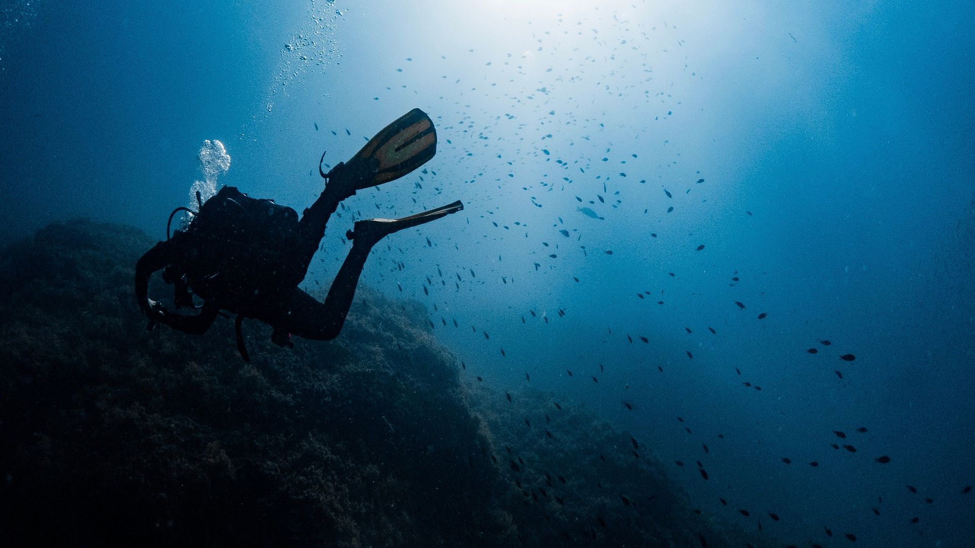Découvrez la plongée sous-marine sur la Costa Brava