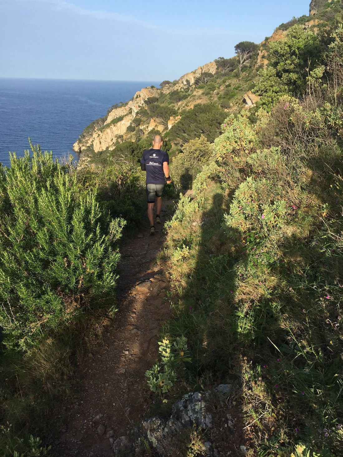 Camino de ronda del Cap de Creus en primavera, con vegetación verde