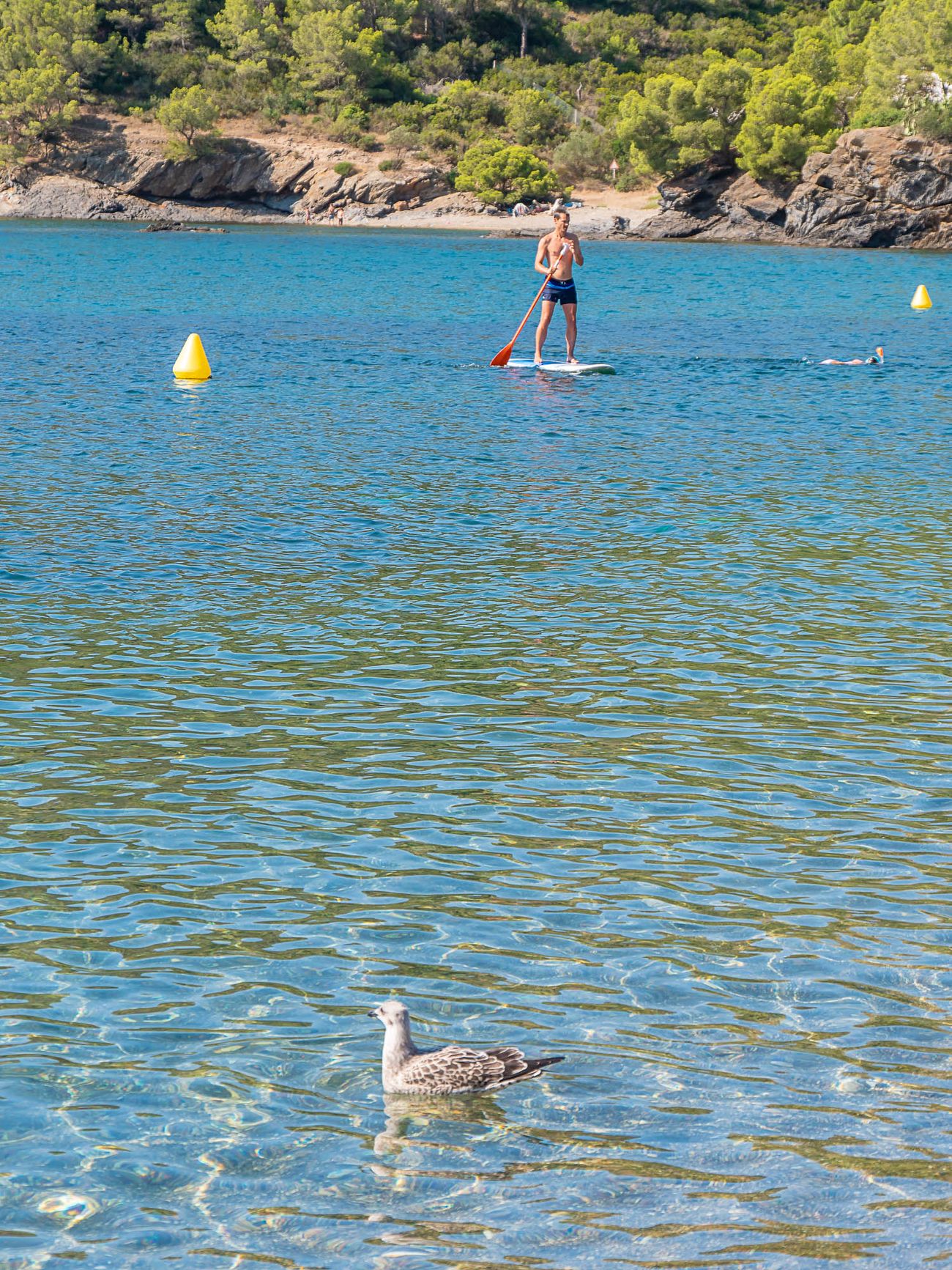 Paddleboarding on Cala Montjoi beach, Cap de Creus