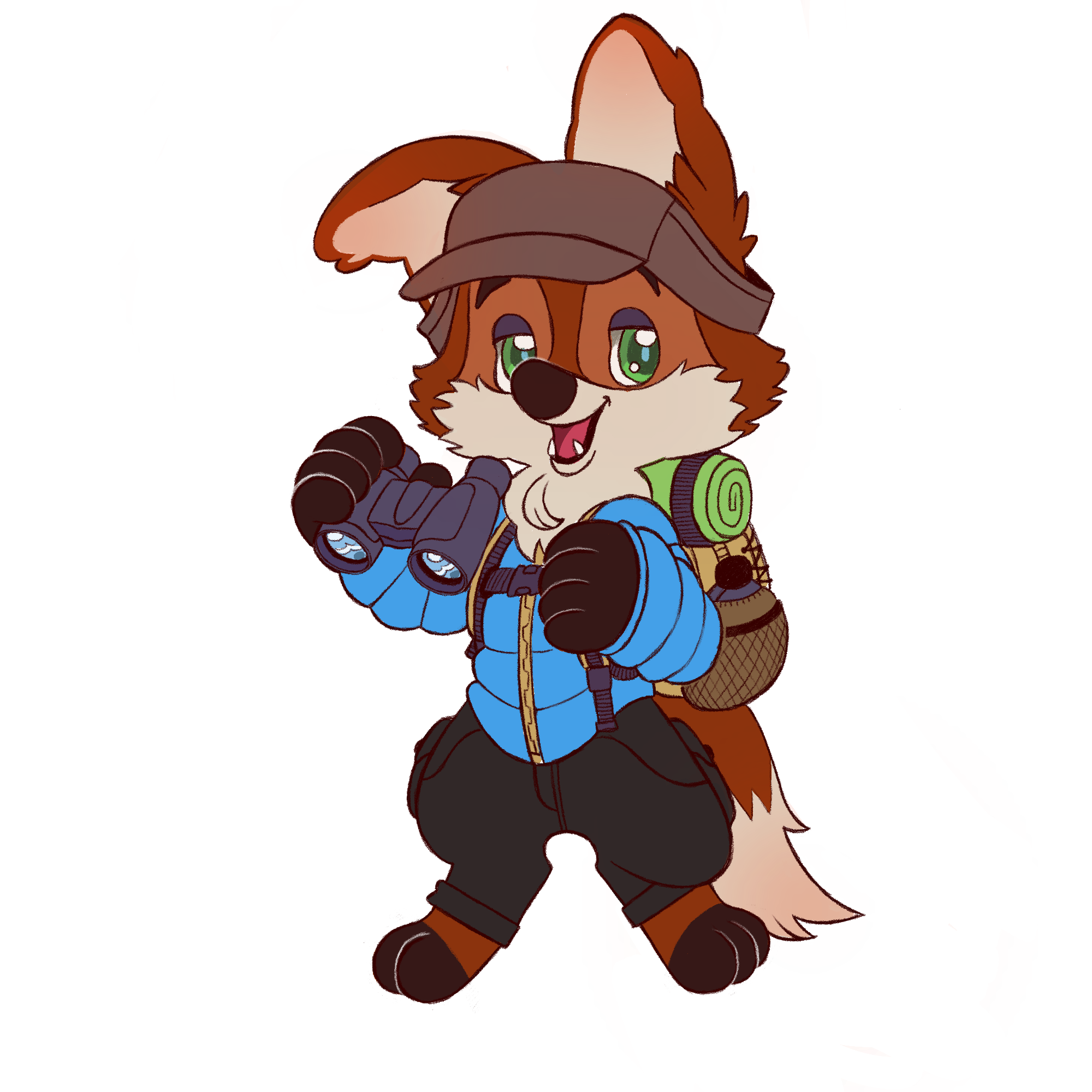 Pet