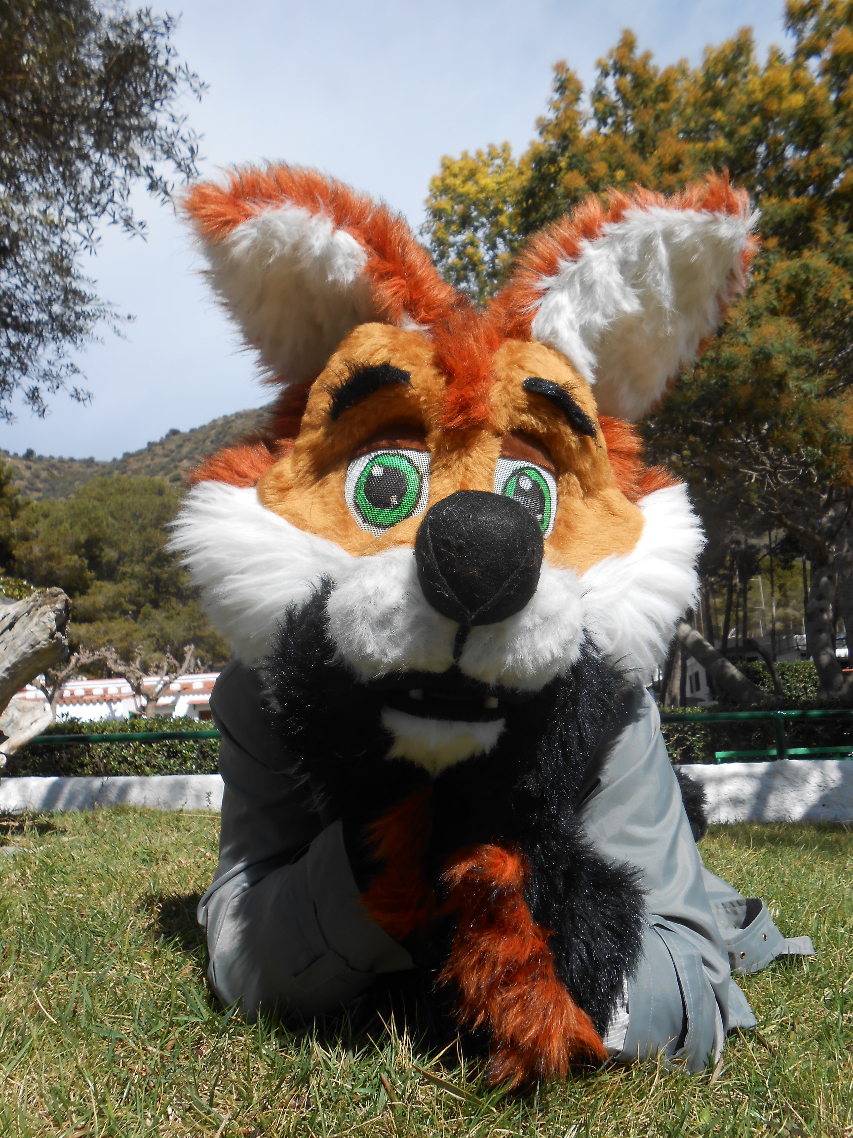 Mascota Joi zorro Cala Montjoi