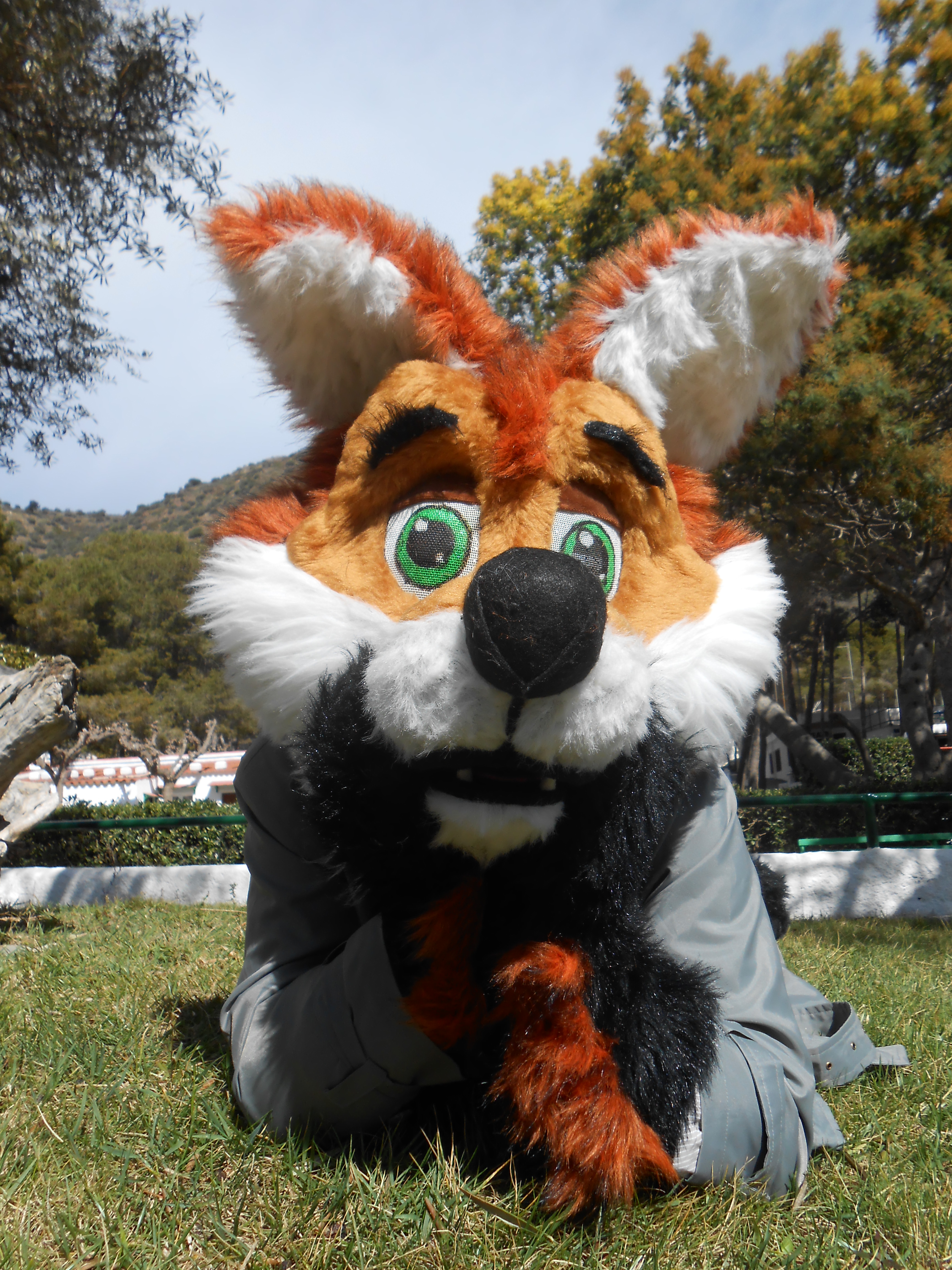 Mascota Joi zorro Cala Montjoi
