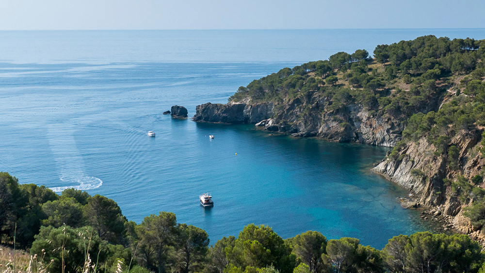 Plongée sous-marine