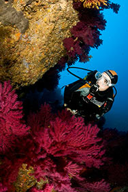 buceo-submarinismo-cala-montjoi-costa-brava-