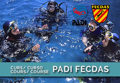 Certificaciones-Fecdas-Padi