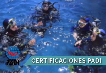 certificaciones-padi