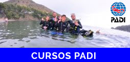 curs-padi