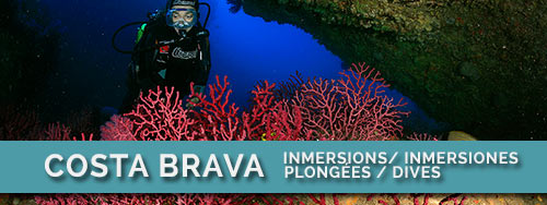 imersiones-submarinismo-buceo-costa-brava