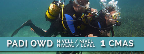 padi-owd-submarinismo-buceo-costa-brava