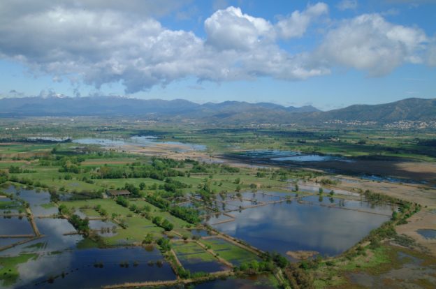 Parc Natural dels Aiguamolls de l'Empordà