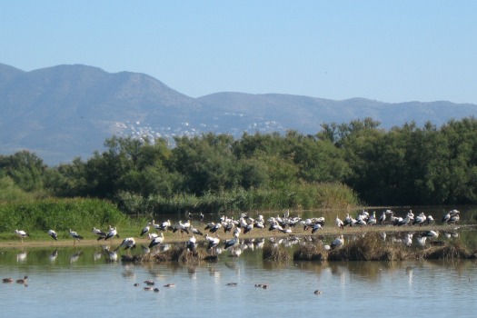 Parc Natural dels Aiguamolls de l'Empordà