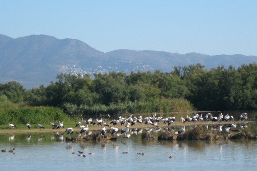 Parc Natural dels Aiguamolls de l'Empordà