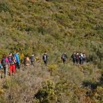 excursion rutas y caminos excursion rutas y caminos