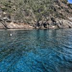 el bisbe Cap de Creus Punts d'immersió el bisbe Cap de Creus Punts d'immersió