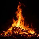 San Juan Roses San Juan Roses